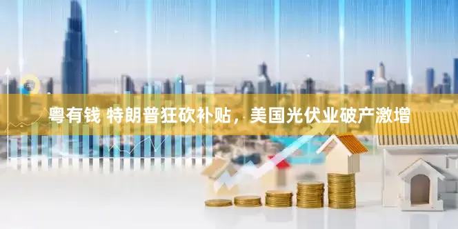 粤有钱 特朗普狂砍补贴，美国光伏业破产激增