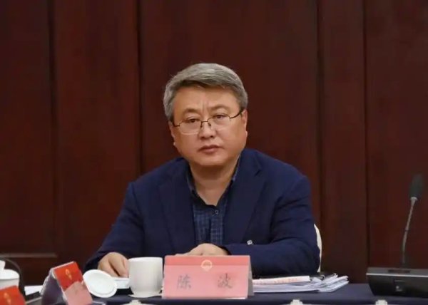 启天配资 受贿数额特别巨大、滥用职权致国家利益遭重大损失，陈波被公诉