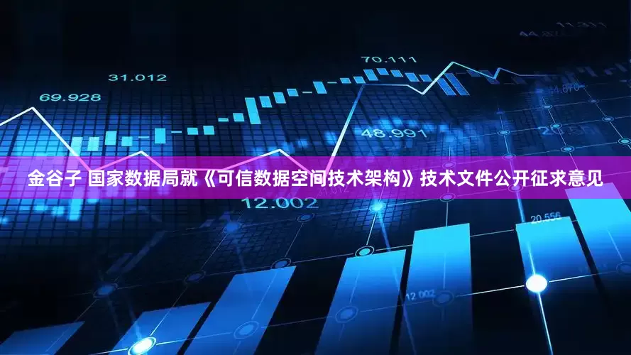 金谷子 国家数据局就《可信数据空间技术架构》技术文件公开征求意见